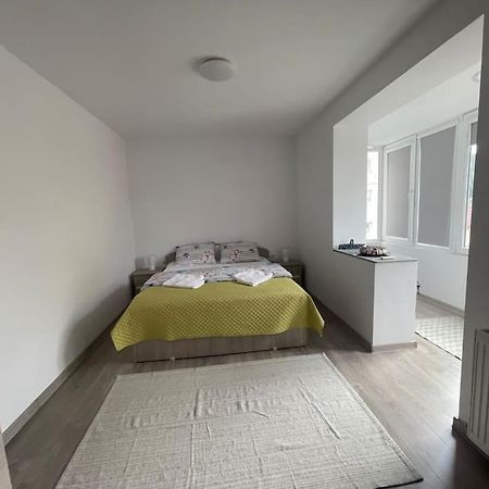Lady M Apartment Sighişoara Eksteriør billede