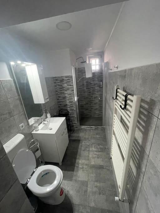 Lady M Apartment Sighişoara Eksteriør billede